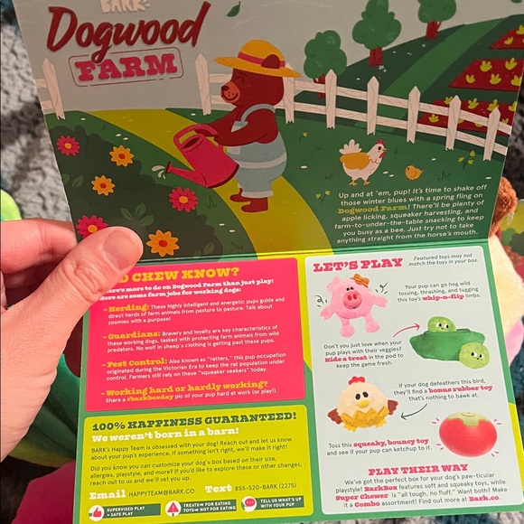 Plush Dog Toy Set — Pink radish with Green Leaf & Cream Cow - Picture 13 of 14